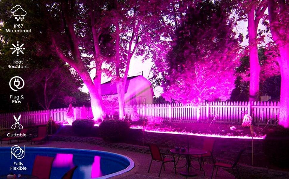 Pink LED Neon Flex 220V 240V 8x16mm 120LEDs/m IP67 Waterproof with UK Plug - ATOM LED