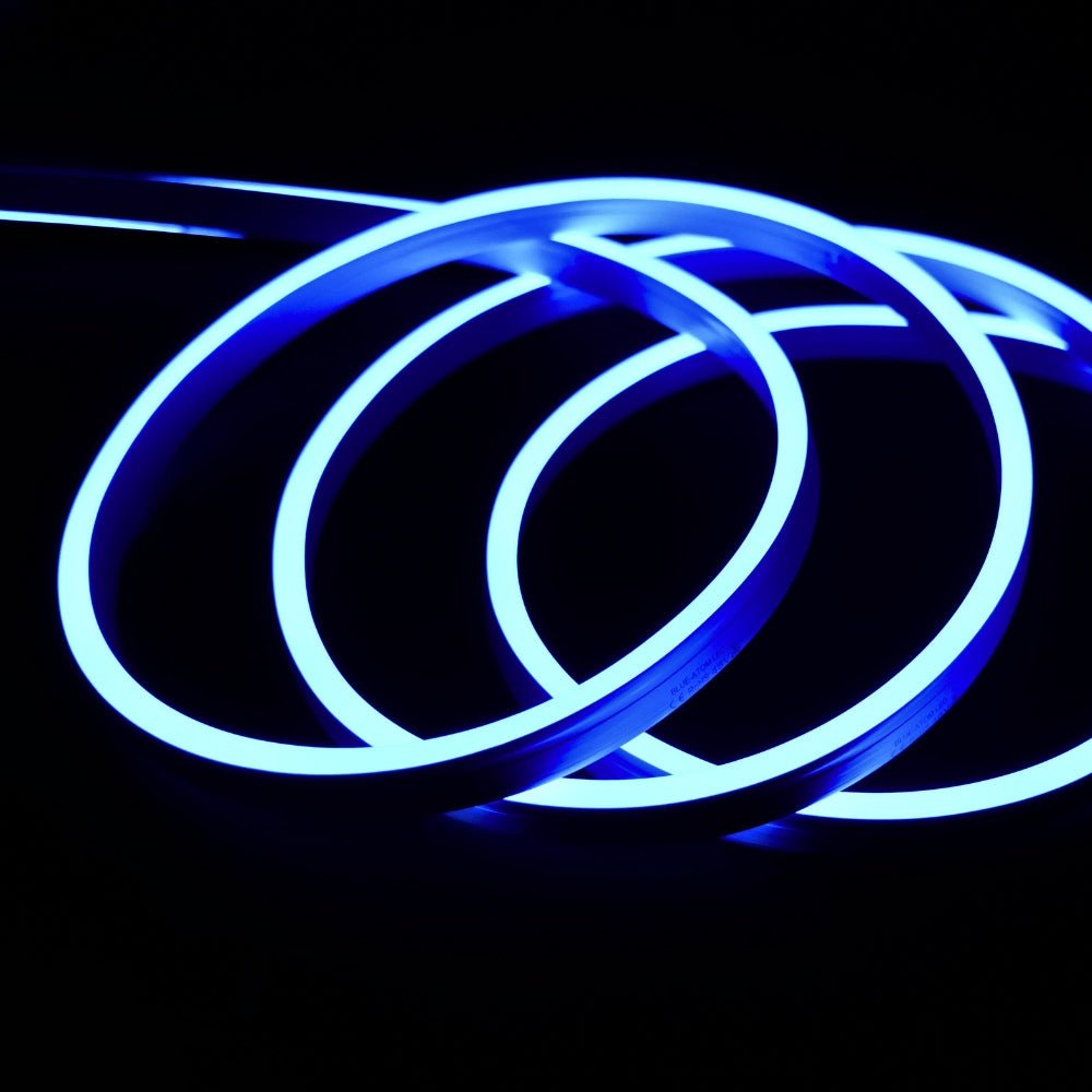 Extra Long Blue Neon Flex 48V 10x20mm IP68 Waterproof 30m - House of LEDS