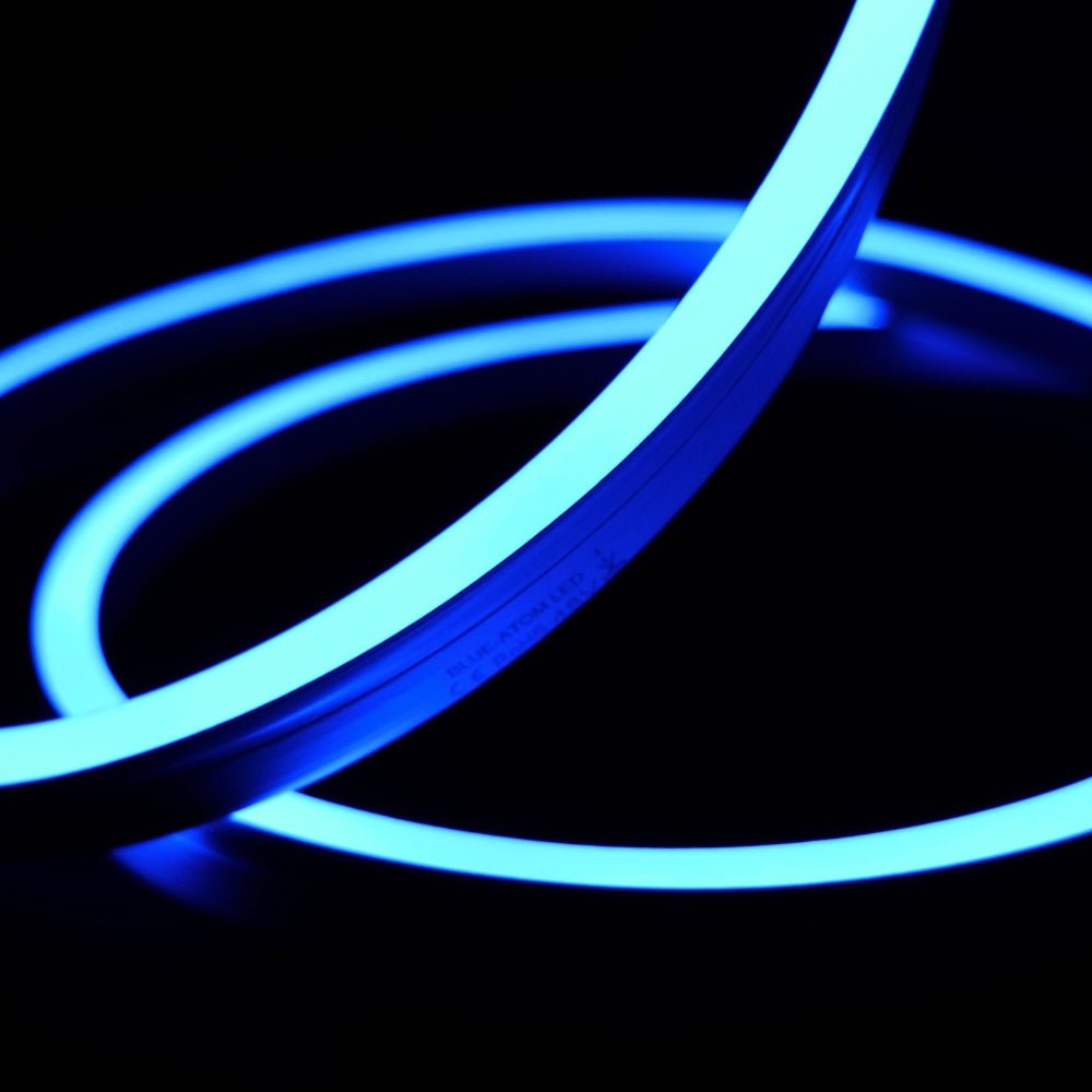 Extra Long Blue Neon Flex 48V 10x20mm IP68 Waterproof 30m - House of LEDS