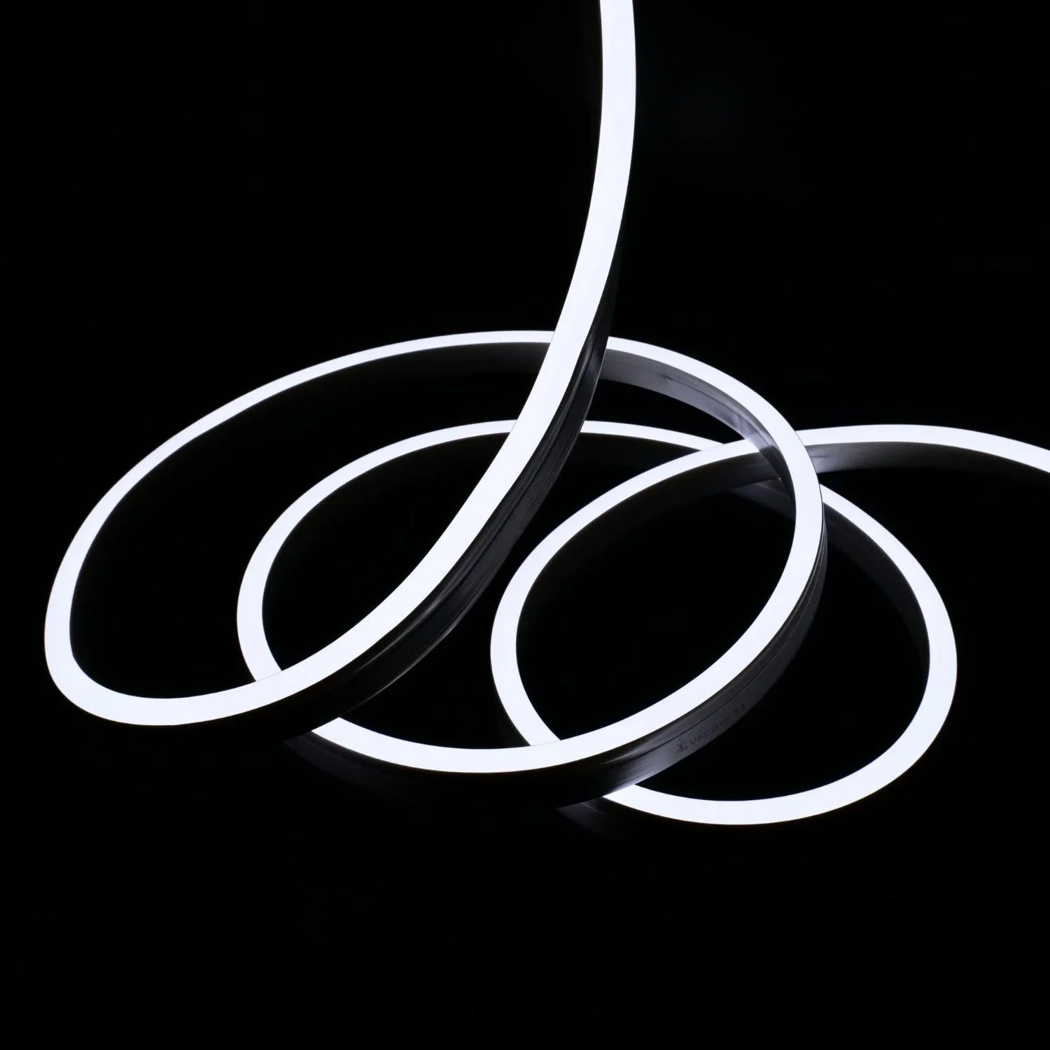 Cool White Neon Flex 6000K 48V 10x20mm IP67 Waterproof 30m